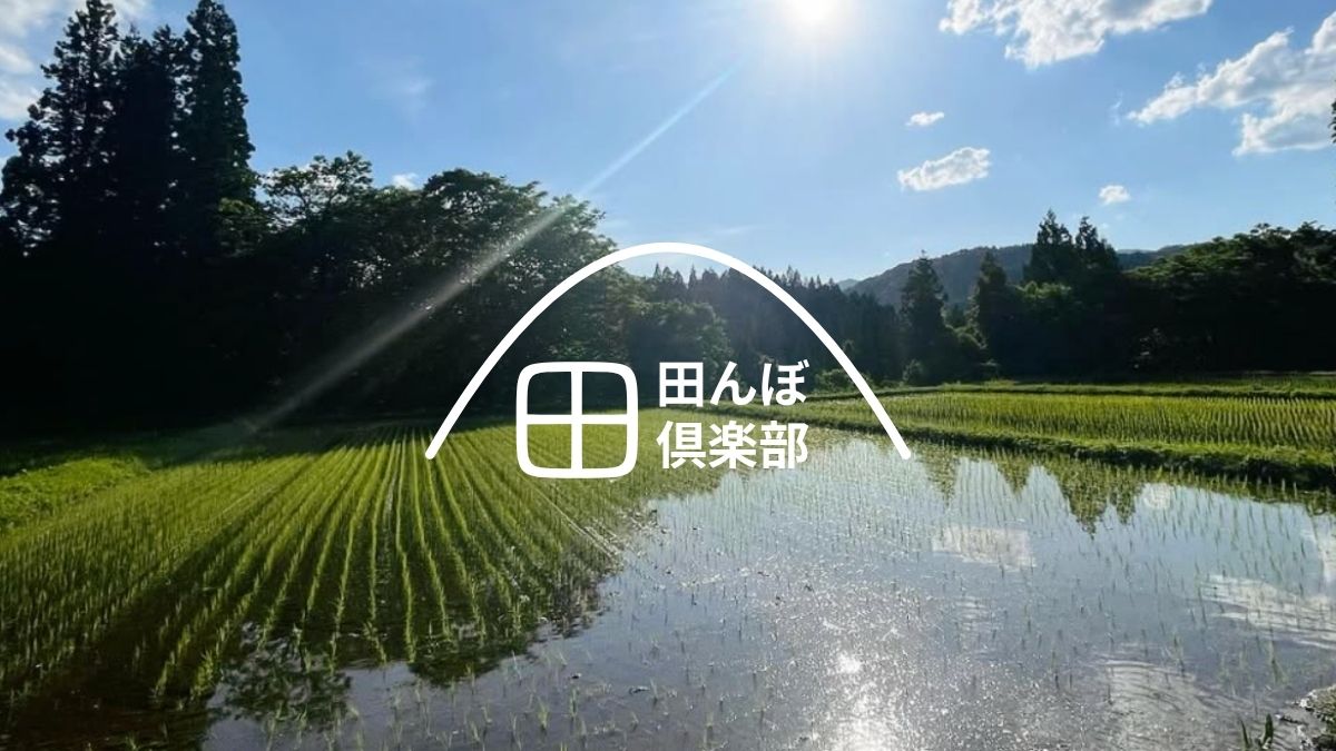 田んぼ倶楽部